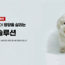 퍼피안 이미지