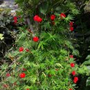 신동시장 이미지