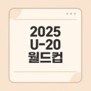 군산청소년회관 | u-20 월드컵 칠레, 경기일정, 참가팀, 관전포인트, 알아보는 방법