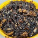 승현24시 이미지