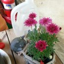 기차네즉석떡볶이 네이버블로그