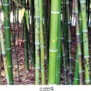 지경 이미지