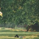 게으른 날 이미지