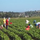 수일농장 이미지