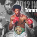 국제복싱 이미지