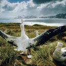 상봉동건영캐스빌 이미지