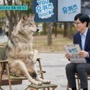 고산촌3 네이버블로그