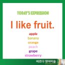 바르다영어미술