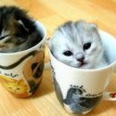 보이지 않는 것과 이미지