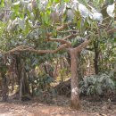 블루에그 이미지