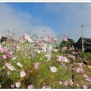 상전체련공원 이미지