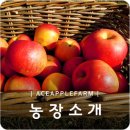 호정농장 이미지