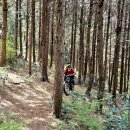 우진풍력 이미지