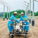 햇볕1호 태양광발전소 이미지