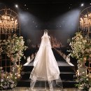 미디어월드엔터테인먼트(주) 이미지