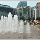 서울프라자 횡단보도 이미지