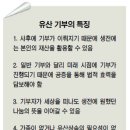 플레지