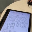 오름뷰티 - 부산진구 | [오름뷰티] 서면전포 왁싱 잘하는 곳 브라질리언 왁싱 후기