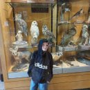 궁전태양광발전소 이미지