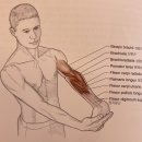 라우드짐 이미지