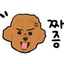 리틀마운틴 이미지