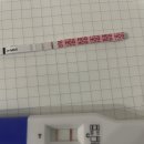 지앤산부인과의원 이미지