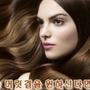 셀라헤어 - 전주시 완산구 솟대1길 63 | 셀라헤어