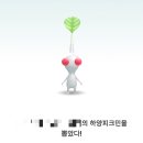 우리의 삶, 우리의 돌을 끌어안고 가는 거야🪨🏃