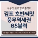호반써밋114공인중개사사무소 | [분양정보] 김포 호반써밋 풍무역세권 B5블럭 분양정보 완전 정리