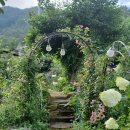 장미정원민박 이미지