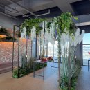 인스타일링 | 시흥 거북섬 맛집 LA코코보일링, 내돈내산 솔직후기 (주차/메뉴 추천)