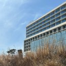 스트란트(THE STRAND) | 호텔 인천 Nest hotel Incheon 재방문 후기 인피니티풀 스트란트 무료 셔틀버스 정보 스탠더드 디럭스룸...