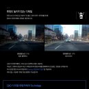 팡팡차유리