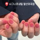 샵샵 발산점 | 내돈내산 서울 가성비 2만원대 네일샵 시그니초네일 마곡발산점 (+4주 후기)