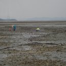 화도(꽃섬) 이미지