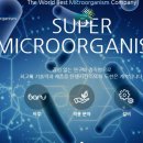 (주)지에스엘바이오 이미지