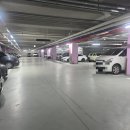 더 수