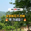 노루벌적십자생태원 | 아이와 대전 나들이｜노루벌 적십자 생태원 주말 방문 후기｜돗자리·도시락·유모차 꿀팁 총정리