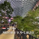하나항공여행사주 - 사천시 옥산로 4 | 이집트 여행 카타르항공 이용후기(기내식) + 도하 경유