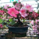 서도면사무소 이미지