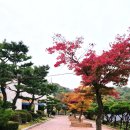 청소년수련관 야외화장실 이미지