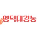 대경과일