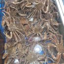 대포횟집 이미지