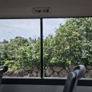 대평감산로 | [놀멍쉬멍 7] 대평포구 • 박수기정 | 제주 올레길 8코스
