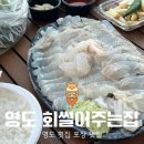 회썰어주는집 - 남해군 미송로 9-1 | 영도 횟집 회썰어주는집 내돈내산 포장 후기