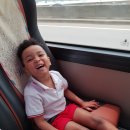 야호캠프 이미지