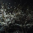 프린스세탁소 이미지