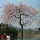 [ 서울 ] 2018, 경복궁 … 2. 경회루 영역