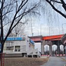 미니스톱 한강강서1점 | [강서구]강서습지생태공원 세븐일레븐 한강라면 후기