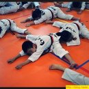 K&P 태권도장 이미지